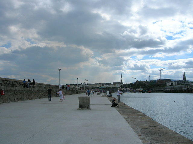 DSCN5631