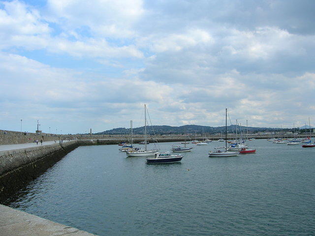 DSCN5633