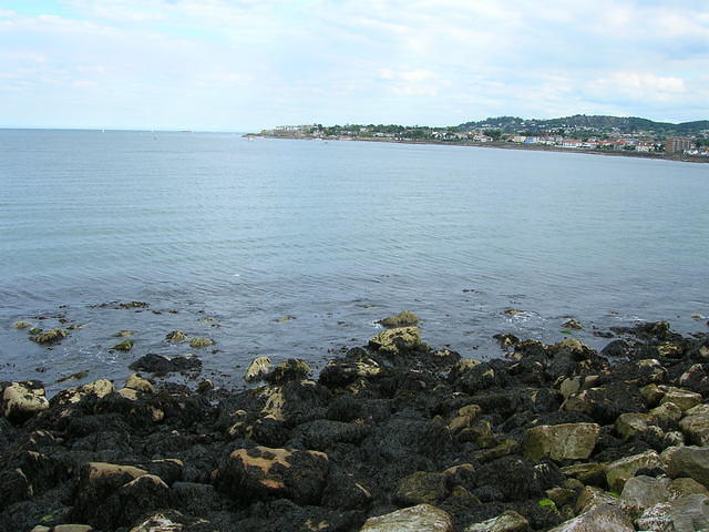 DSCN5647