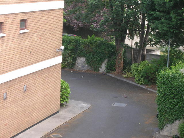 DSCN5694