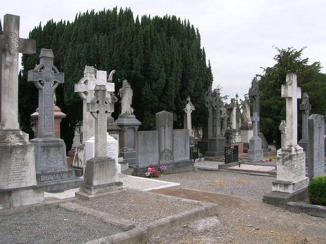 DSCN5724