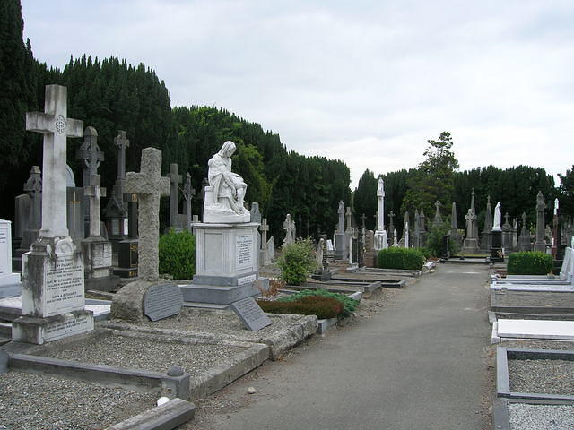 DSCN5725