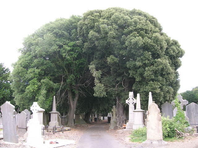 DSCN5727