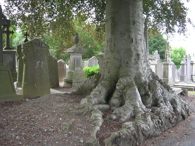 DSCN5731