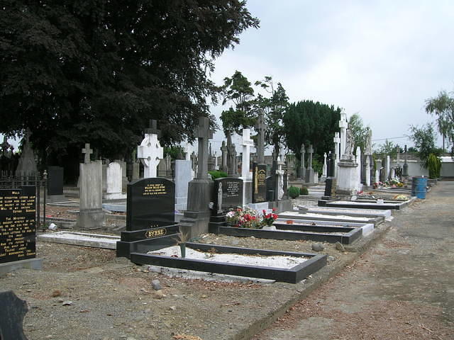 DSCN5733