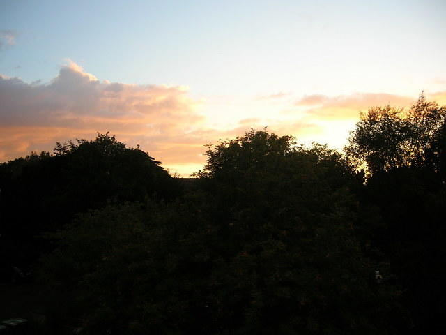 DSCN5841