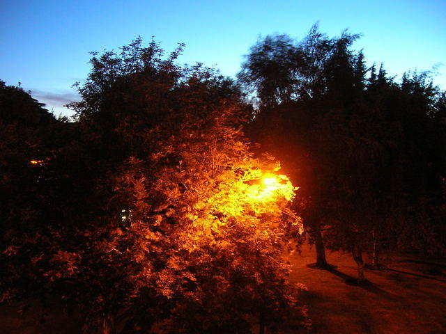 DSCN5846