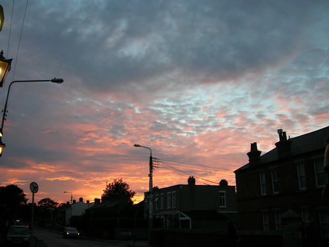 DSCN6029