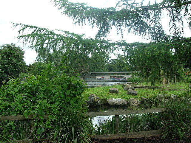 DSCN8402