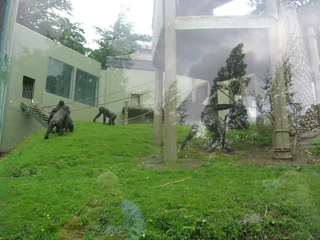 DSCN8410