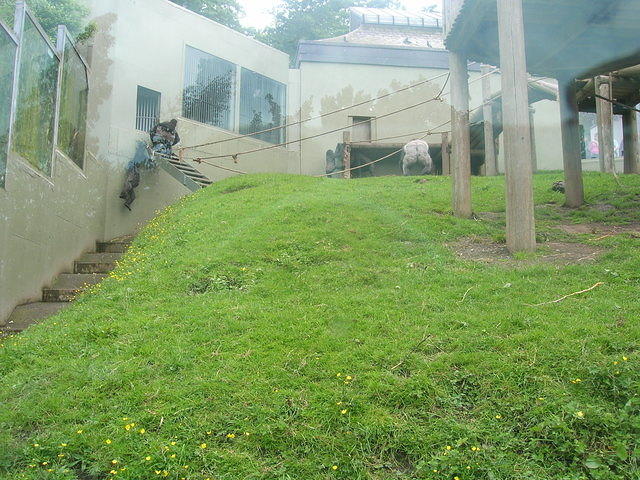 DSCN8411