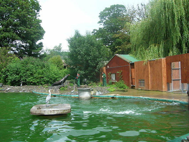 DSCN8421