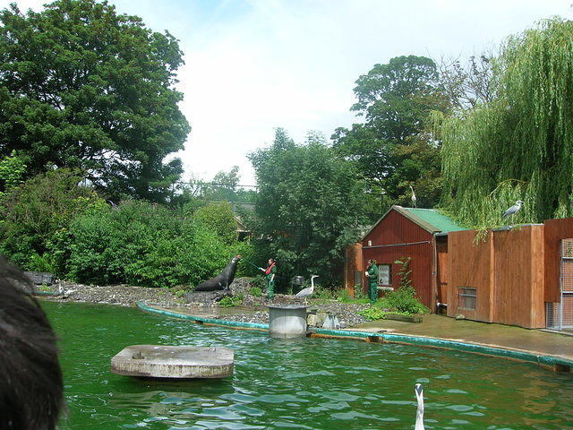 DSCN8423