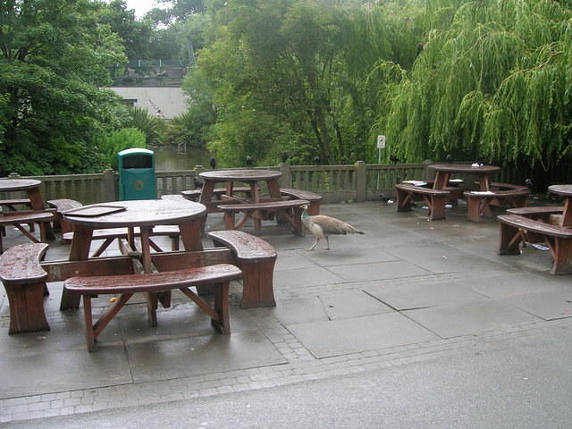 DSCN8436