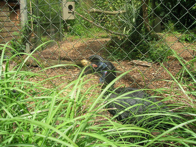DSCN8446