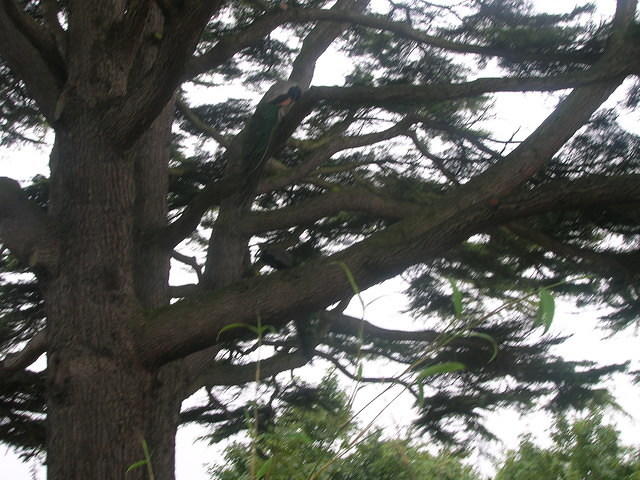 DSCN8451