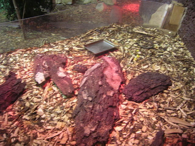 DSCN8456