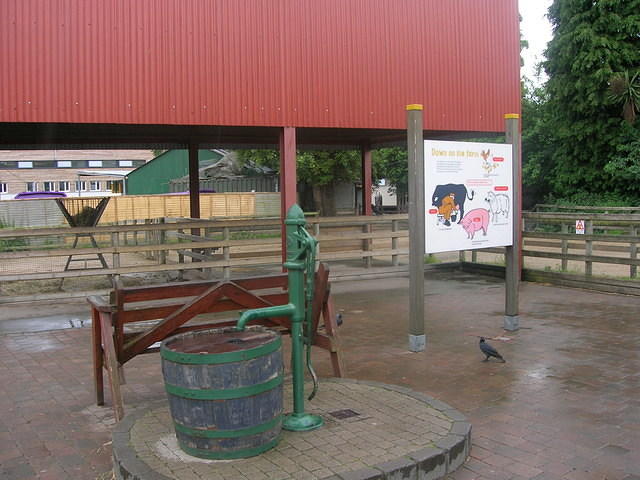 DSCN8463