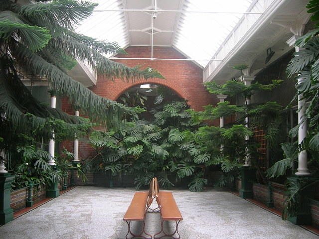 DSCN8467