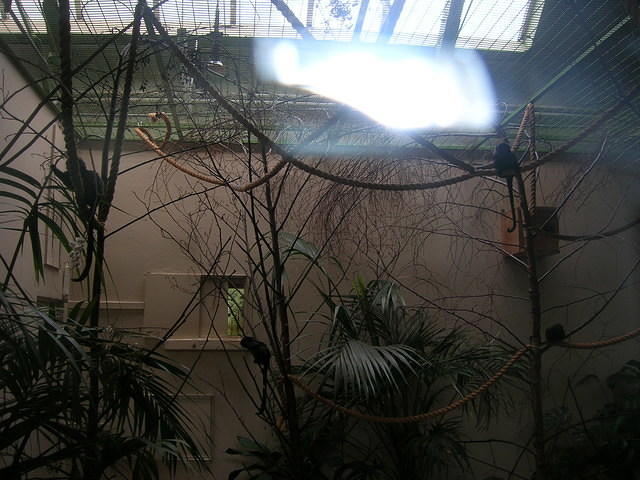 DSCN8480