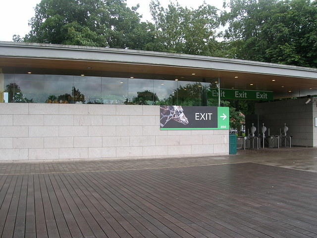 DSCN8497