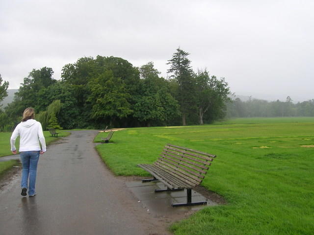 DSCN8504