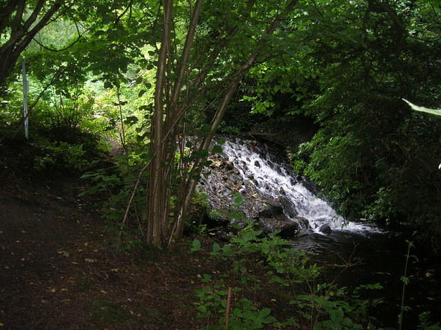 DSCN8506
