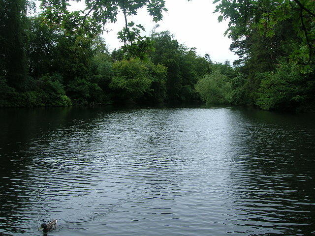 DSCN8509