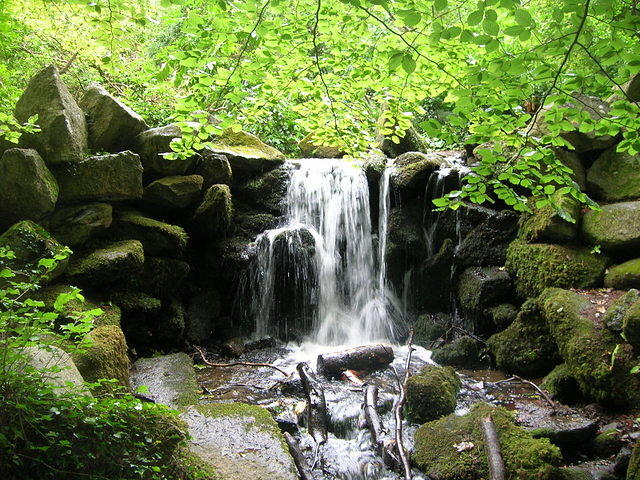 DSCN8516