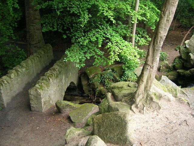 DSCN8519