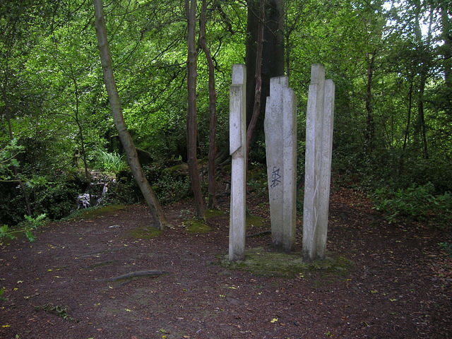 DSCN8521