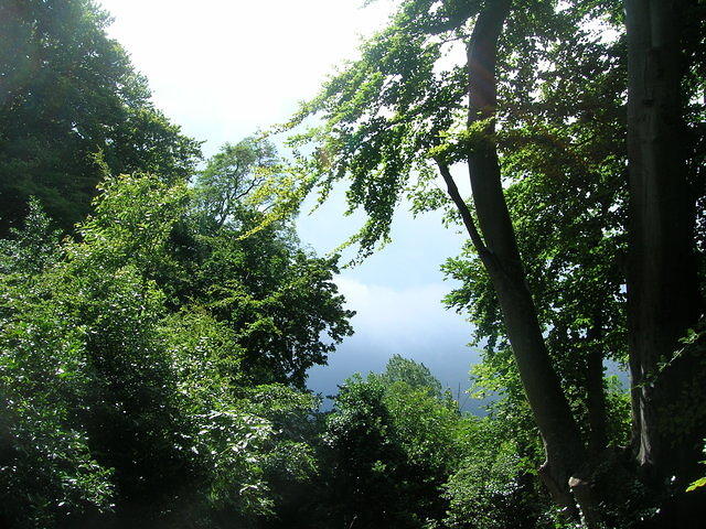 DSCN8524
