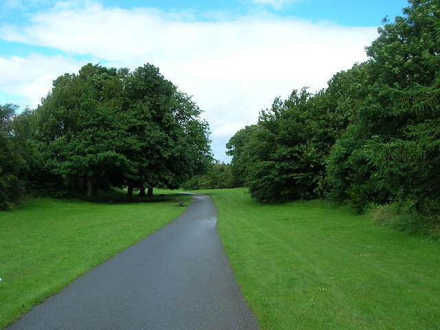DSCN8526