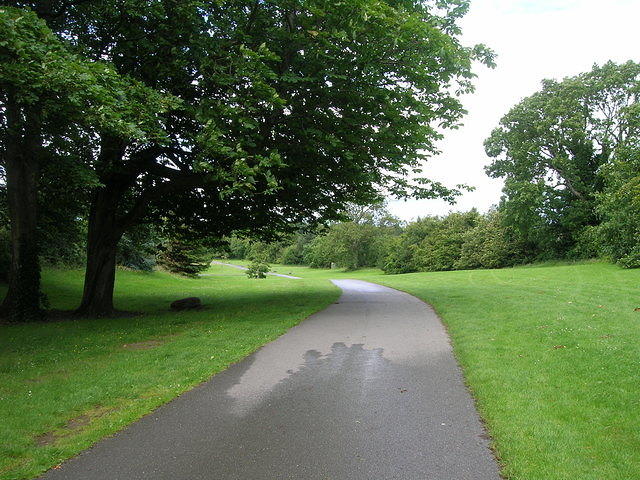 DSCN8527