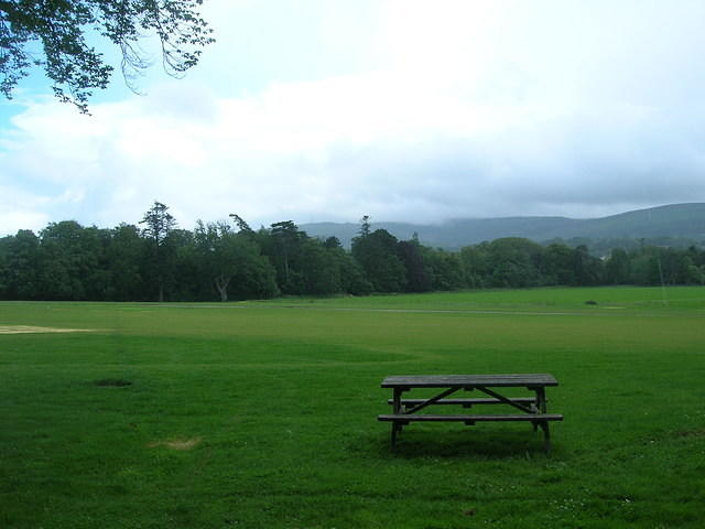 DSCN8532