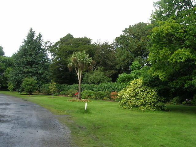DSCN8537