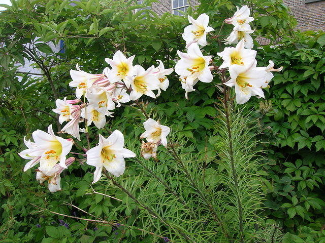 DSCN8542