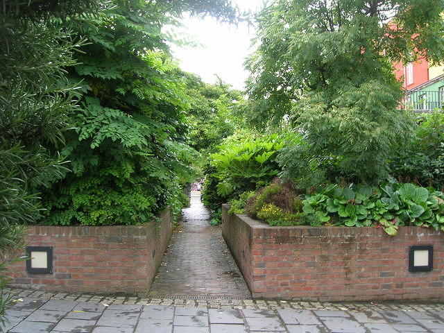 DSCN8553