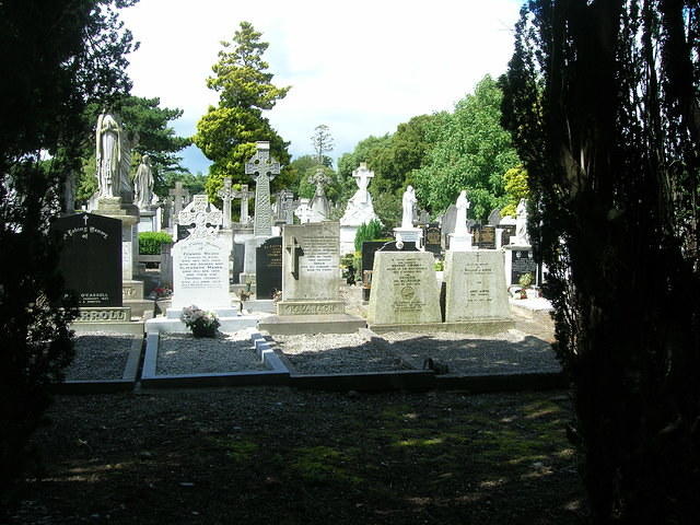 DSCN8746