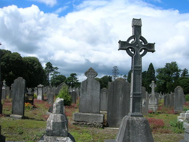 DSCN8747