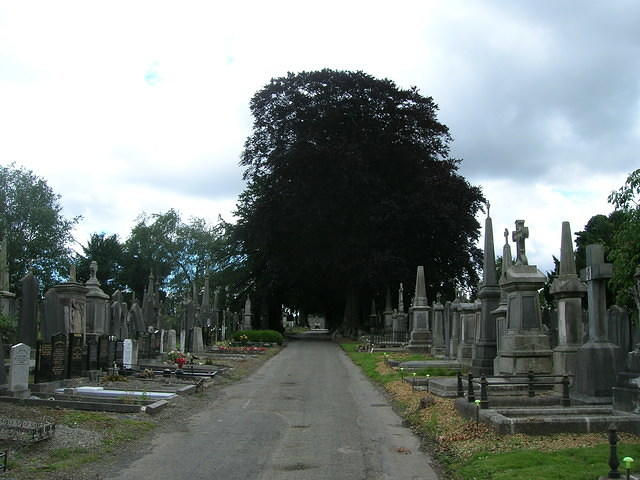 DSCN8757