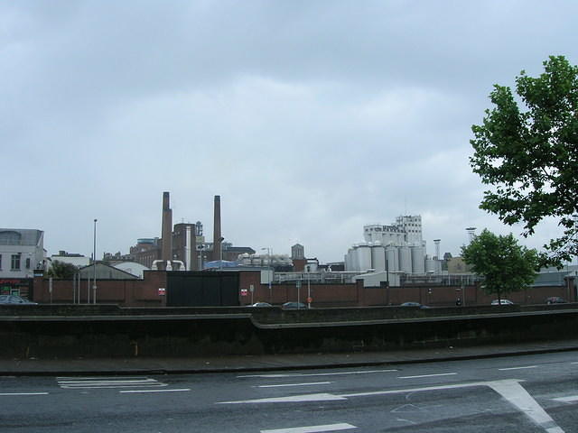 DSCN8769