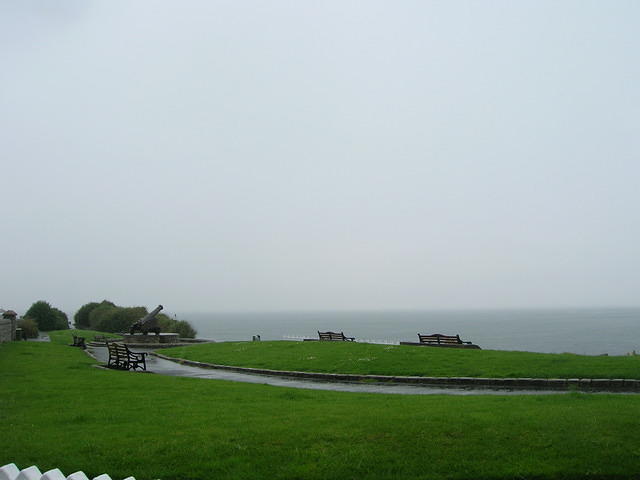 DSCN8786