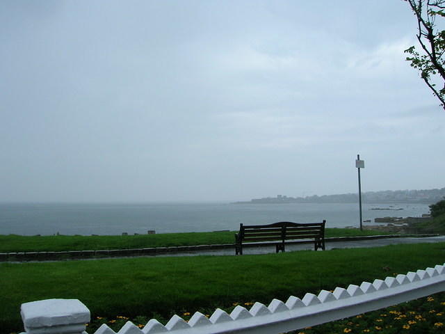 DSCN8787