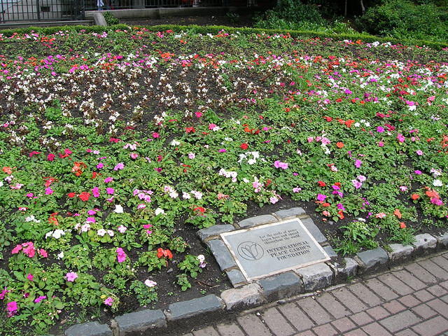 DSCN8797