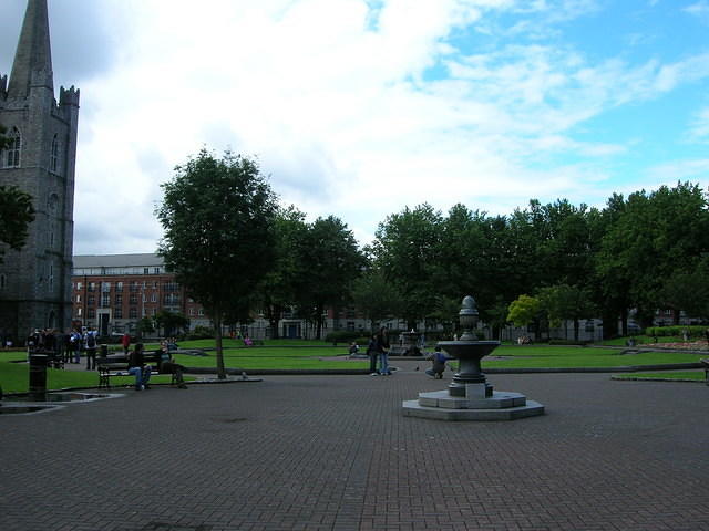 DSCN8805