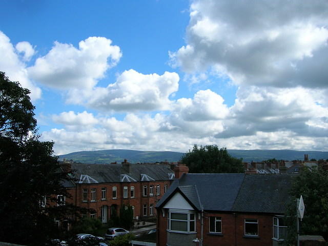 DSCN8900