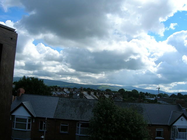 DSCN8905