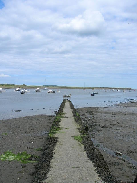 DSCN8941