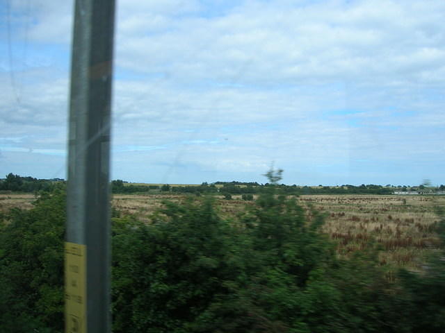DSCN8948